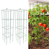 MTB Supply front view of green folding square cage showing stable support