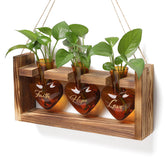 MTsigns heart-shaped terrarium front view showing colored glass and wooden stand benefits display