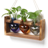 MTsigns heart-shaped glass vase front view showing elegant propagation display