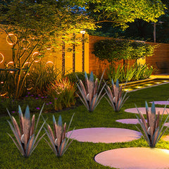 Muciwa agave pair staged in a planter to enhance indoor-outdoor decor