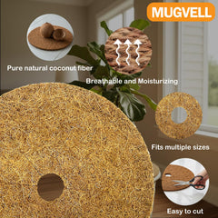 MUGVELL ring installed around tree base protecting roots and preventing weeds
