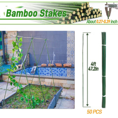 Mulctun stakes supporting tomato plant for stronger stems benefit