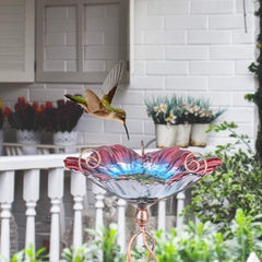 MUMTOP with small bird using the bowl showing attraction and natural garden activity
