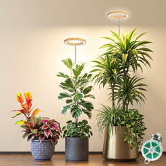 MUSELUCE front view of wood-grain grow light two-pack highlighting elegant design