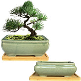 MUZHI front view of two green rectangular pots with trays showing elegant display