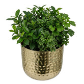 MyGift brass planter front view showing shiny finish and elegant silhouette