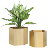 MyGift brass hexagon planter front view showing modern decorative appeal