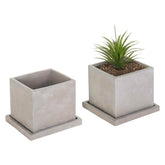 MyGift front view of two gray cement square planters showing minimalist design and stability