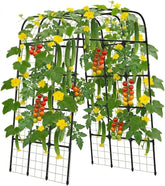 MYMULIKE arch front view showing clean support and organized vines