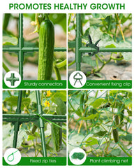 MYMULIKE assembled trellis in a raised bed improving air flow and sunlight for plants