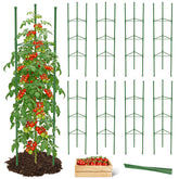 MYMULIKE front view of assembled cage showing stable support