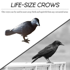 NACH crow styled on mantel offering indoor decor versatility and charm