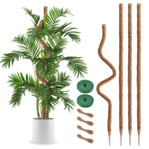 NATSUKY front view of four moss poles showing bundle and packaging for immediate support