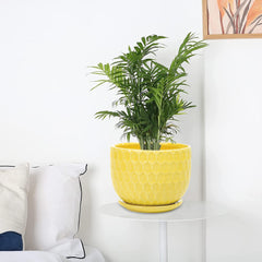 Nattol large pot planted with herb demonstrating usable capacity and healthy display