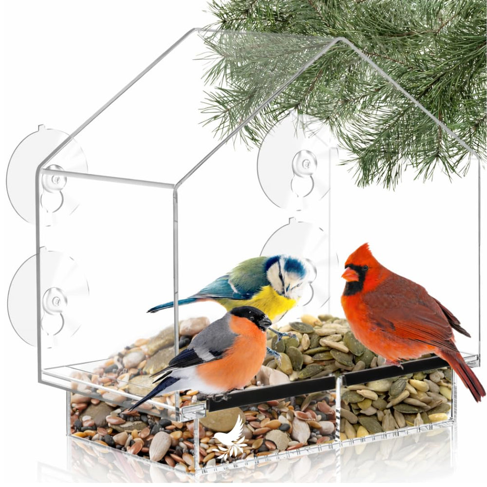 Nature's Hangout front view clear feeder showing unobstructed bird watching benefit