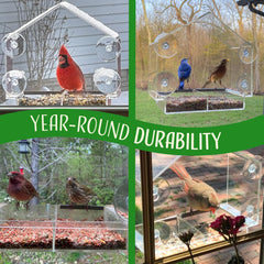 Nature's Hangout feeder with small bird perched for up-close viewing benefit