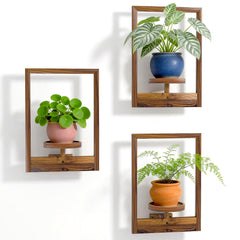 NATURE'S SOURCE front view of wooden hanging shelf showing clean lines and stability