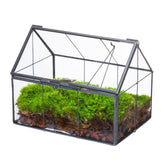 NCYP front view of house-shaped terrarium showing compact modern display benefit