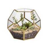 NCYP gold geometric terrarium front view shows modern tabletop appeal