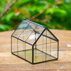 NCYP terrarium beside common objects for scale showing tabletop compatibility benefit
