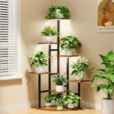 Nedechom front view showing full seven-tier corner display and neat plant arrangement benefit