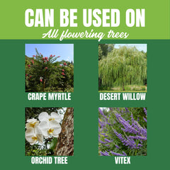 Nelson NutriStar used on a flowering tree in a patio container showing healthy blooms and convenience