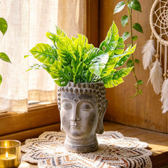 Newman House Studio Buddha planter topped with succulent showing green contrast benefit