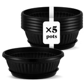 Newtay front view of five black planter bowls showing clean design and value