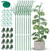 NiHome front view of eight stakes kit showing complete support set and easy setup