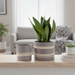 Nihow small planter with succulent demonstrating perfect desktop fit
