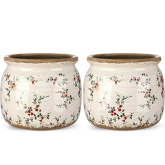 Ninehaoou front view of two vintage planters showing decorative scroll pattern and color benefits