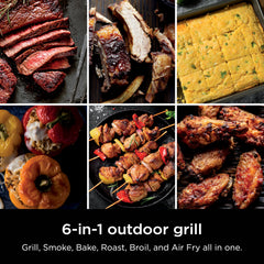 Ninja Woodfire close-up of nonstick grill grate texture for easy cleanup