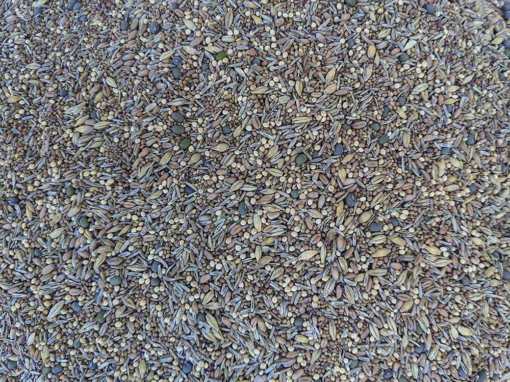 No-Till Solutions front bag showing product labeling and clear benefits