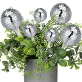Novabright front packaging showing six disco watering globes, decorative and functional