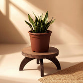 Novabright front view of two round wood stands showing stable support