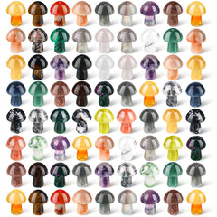 Nuanchu front packaging showing 72-piece mushroom set, clear assortment benefit