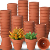 Nuogo front view of 100-piece terracotta pack showing quantity and neat stack benefit