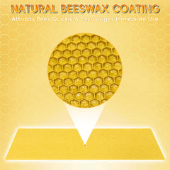 NUOMIC detailed hex honeycomb pattern guiding bees for uniform comb