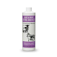 NUTRI-DRENCH front label on 16 oz bottle showing product and fast energy benefits
