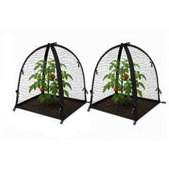 NuVue front view of pop-up cover protecting plant, clear protection