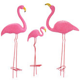 Ohuhu flamingo front group view showing vibrant color and curb appeal