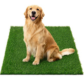 Oiyeefo front view of grass pad showing neat edges and realistic lawn benefit