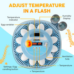 OKKÖBI transparent dome 360° view for clear observation and protection