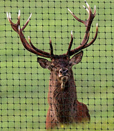 OldMacDonald front packaging view showing folded netting and product label for easy identification