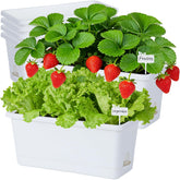 Oliz front view of six white rectangular planters showing clean minimalist look and space-saving benefit