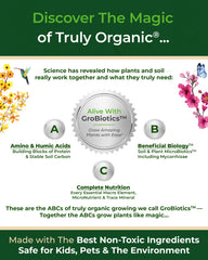 Organic Plant Magic applied to a potted plant to boost indoor growth