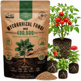 Organo Republic front packaging showing 1 lb bag and product benefits