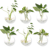Orimina front view of six round glass planters mounted, adds vertical greenery