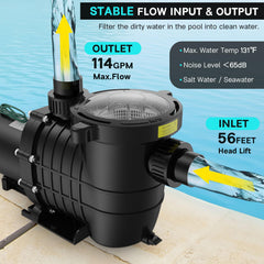 Oswerpon open filter basket for simple debris removal and fast maintenance