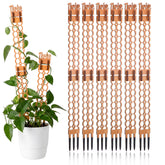Otoolling trellis front view showing full set and natural wood benefits